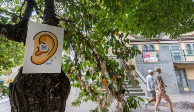 Colourful ears draw attention to mental health literacy