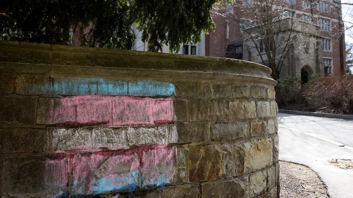 A transgender flag drawn in chalk on the Wellesley College campus ground.