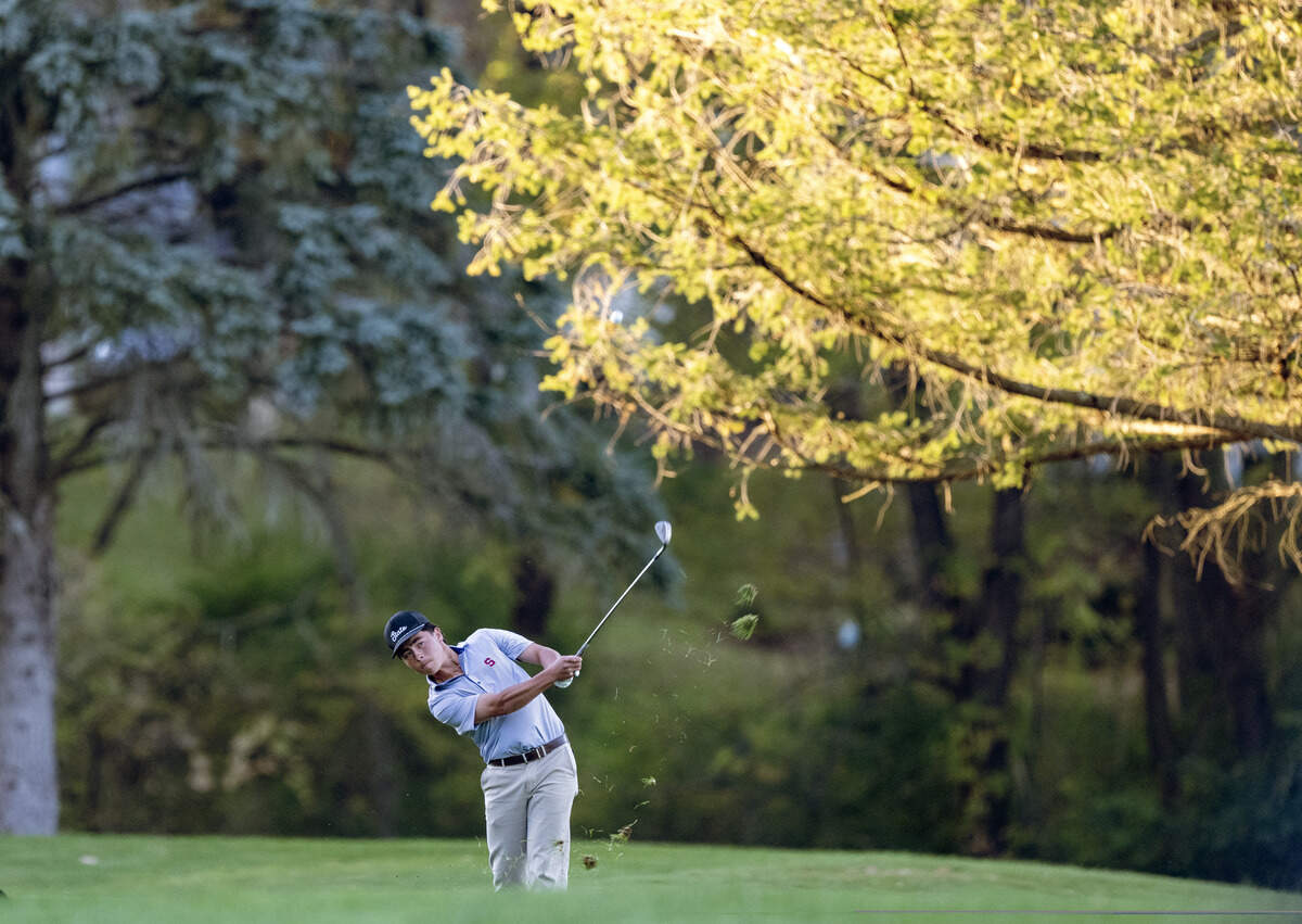State College’s Charlie Ladrido chips on the second hole of the playoff for the PIAA Golf Team Championships on Wednesday, Oct. 21, 2026 at the Penn State Golf Course.