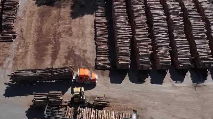 Foreign exports are pricing Maine lumber mills out of the market