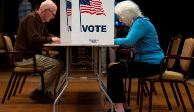 Geopolitics and the US midterm elections