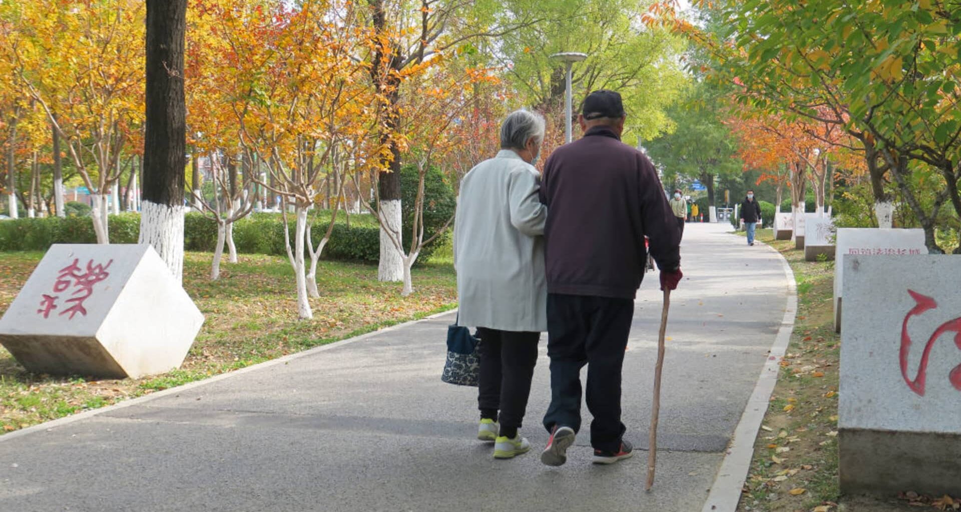2029 tipping point: Aging Western populations set to strain public finances