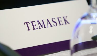 Singapore's Temasek warns of the ‘biggest risk’ facing markets