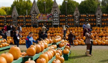 74-year-old's pumpkin farm brings in $2 million annually—in only 7 weeks