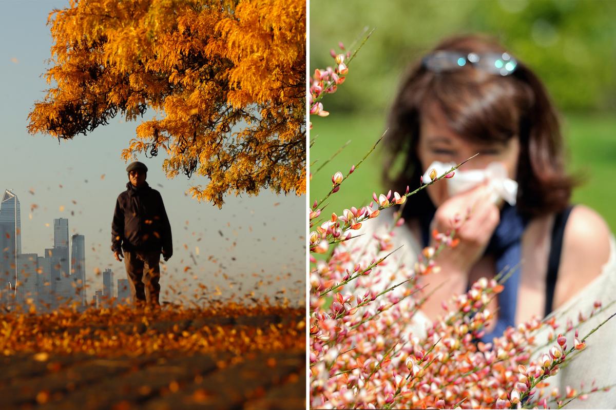 How to tell the difference between allergies vs a cold