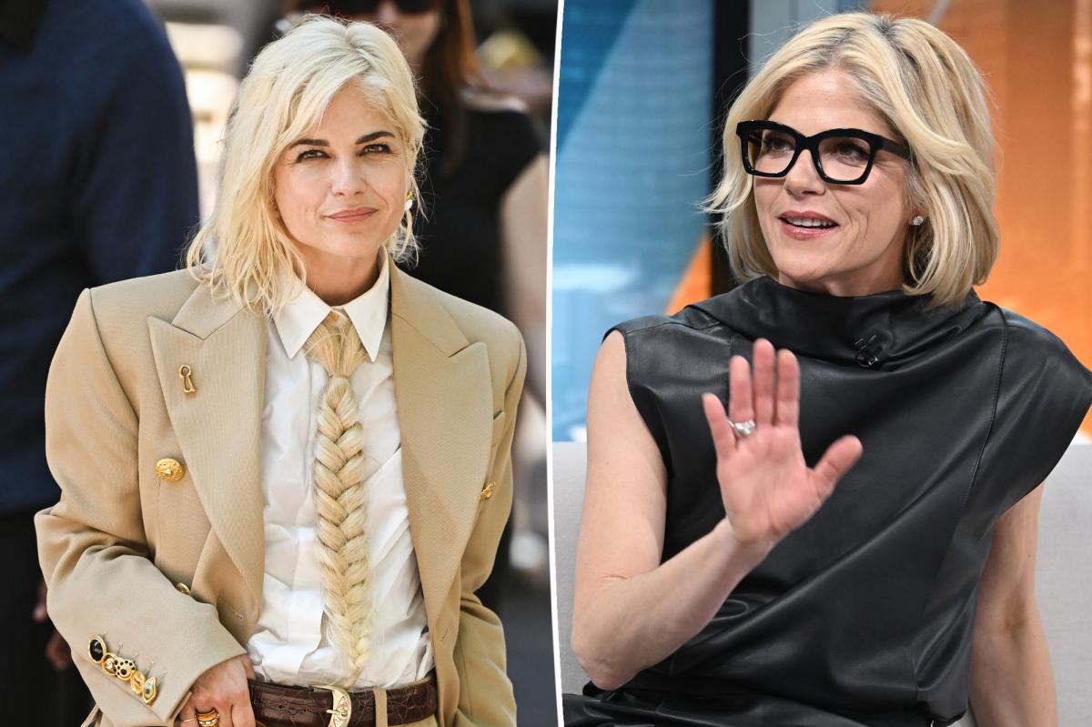 Selma Blair’s future in Hollywood revealed after mid-flight meltdown