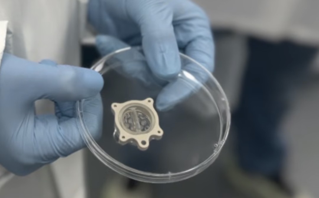 Aboard New Mission to ISS: Bunch of Tiny Brains, Hearts