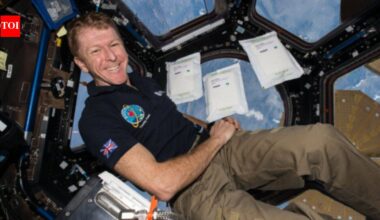 In 2015, 2kg of rocket seeds went to the space station; after their return, 600,000 UK children helped test them, and researchers found they grew more slowly but remained viable