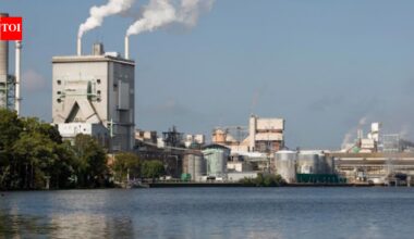 After more than 50 years of pulp-mill pollution, regulators have proposed restoring North Carolina's Roanoke River, including contaminated floodplain habitat damaged by toxic discharges