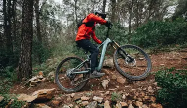 I Finally Bought an Electric Mountain Bike and It Has Been Life Changing