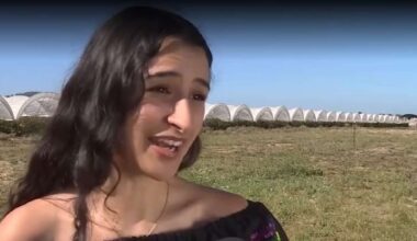 'There's wisdom here': Artist uses photography to share farmworkers' stories