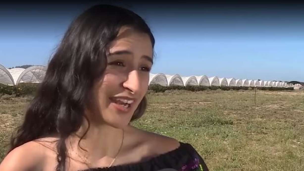 'There's wisdom here': Artist uses photography to share farmworkers' stories