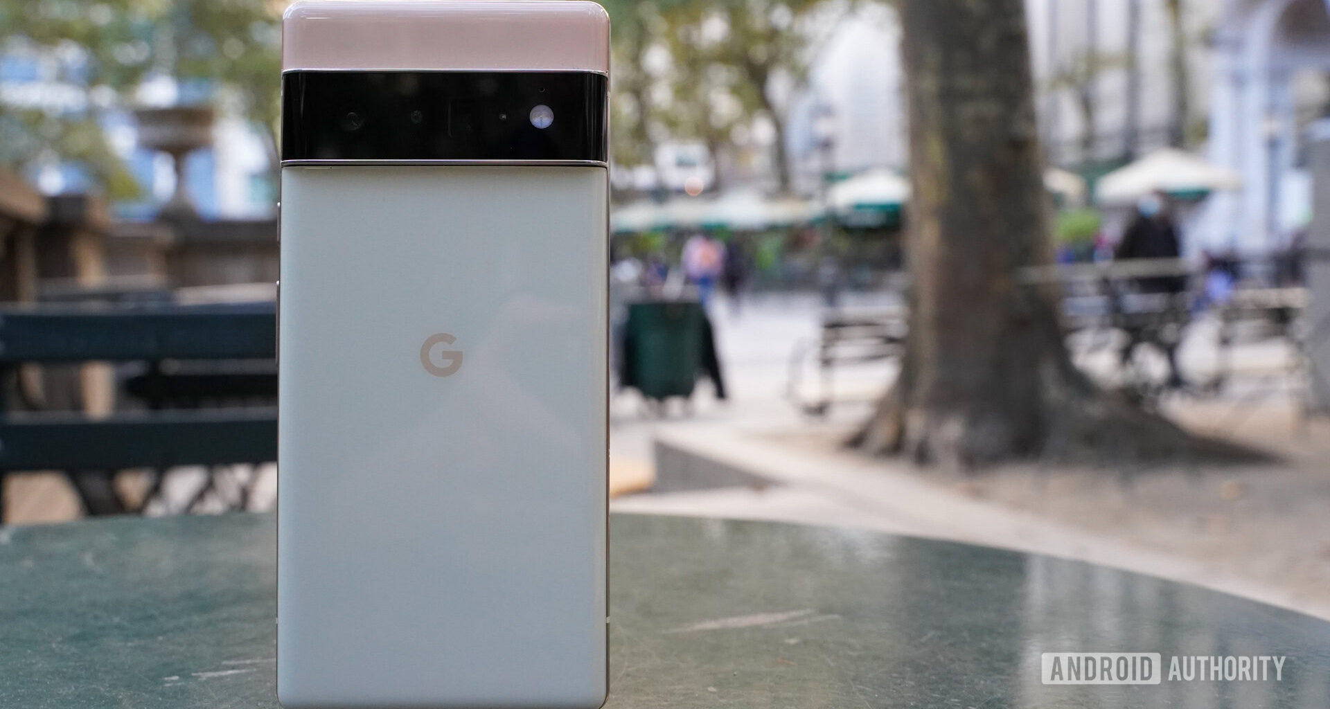 Google Pixel 6 Pro rear standing in the park