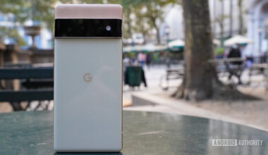 Google Pixel 6 Pro rear standing in the park