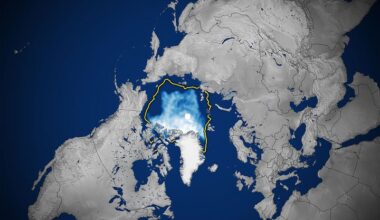 Arctic Sea Ice Shrinks to Its 2026 Minimum