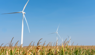 Cargill Expands Renewable Electricity Portfolio in the Central United States