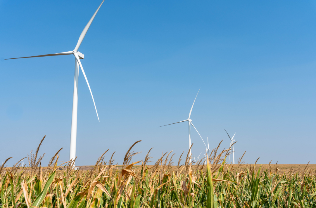 Cargill Expands Renewable Electricity Portfolio in the Central United States