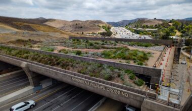 New images show 101 Freeway wildlife crossing in Agoura Hills – NBC Los Angeles