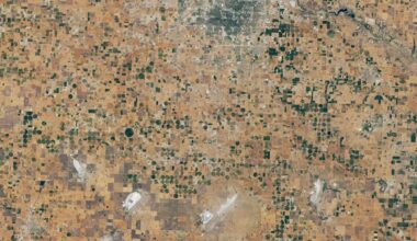 Fighting Drought in Texas Cotton Country