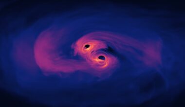 binary black holes