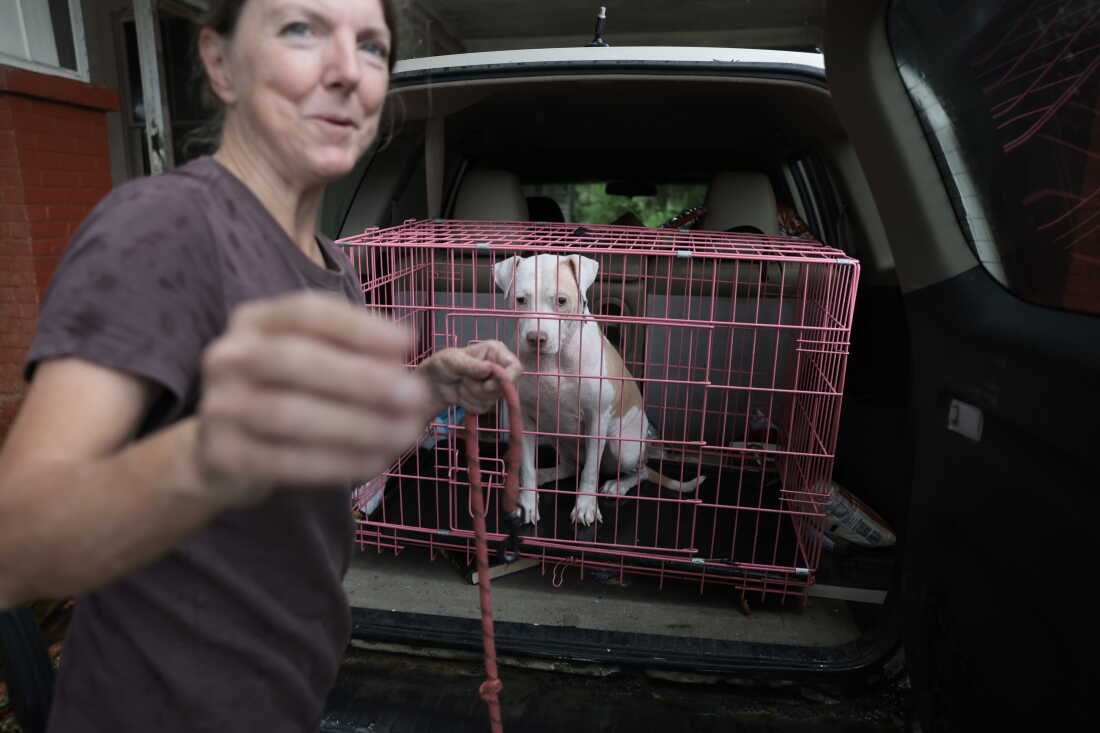 Gina Holland evacuates her home with her dog Cici in Pensacola, Fla., before the expected landfall of Hurricane Isaias.