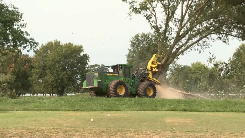 Crews remove trees near the East Potomac Golf Course in Washington, DC, on October 10.