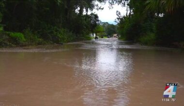 Jacksonville residents call for long-term flooding solution after storm inundates neighborhood