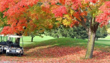 Fun ways to get moving before winter arrives