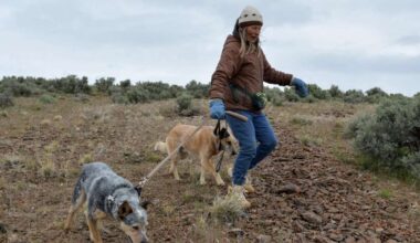 Critical Minerals Agenda comes for America's 'Forgotten Wildlife Corridor'