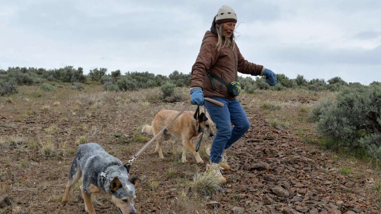 Critical Minerals Agenda comes for America's 'Forgotten Wildlife Corridor'