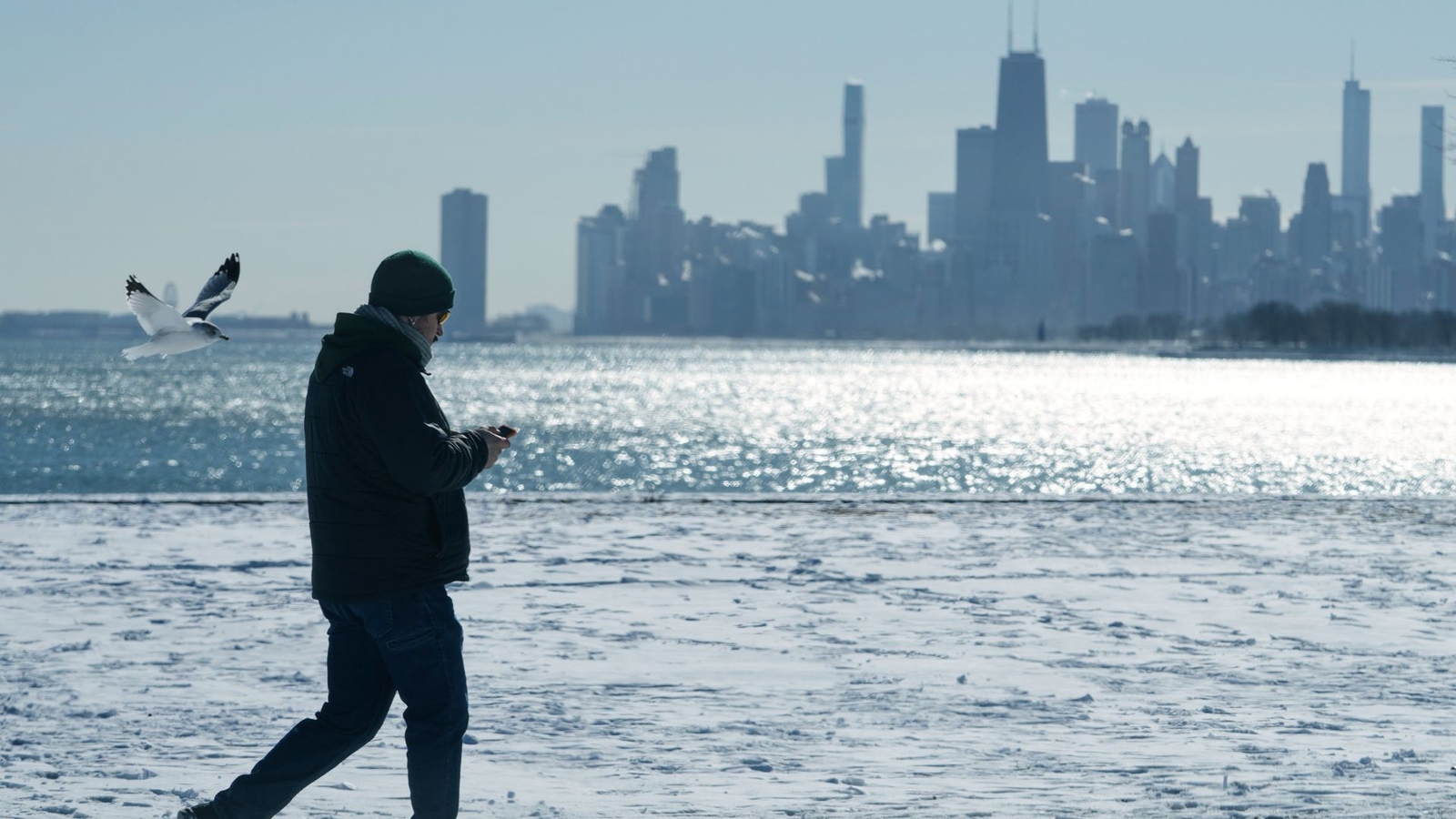 El Niño forecast: US winter is likely to be wetter and warmer, forecasters say. If you want more snow, look south