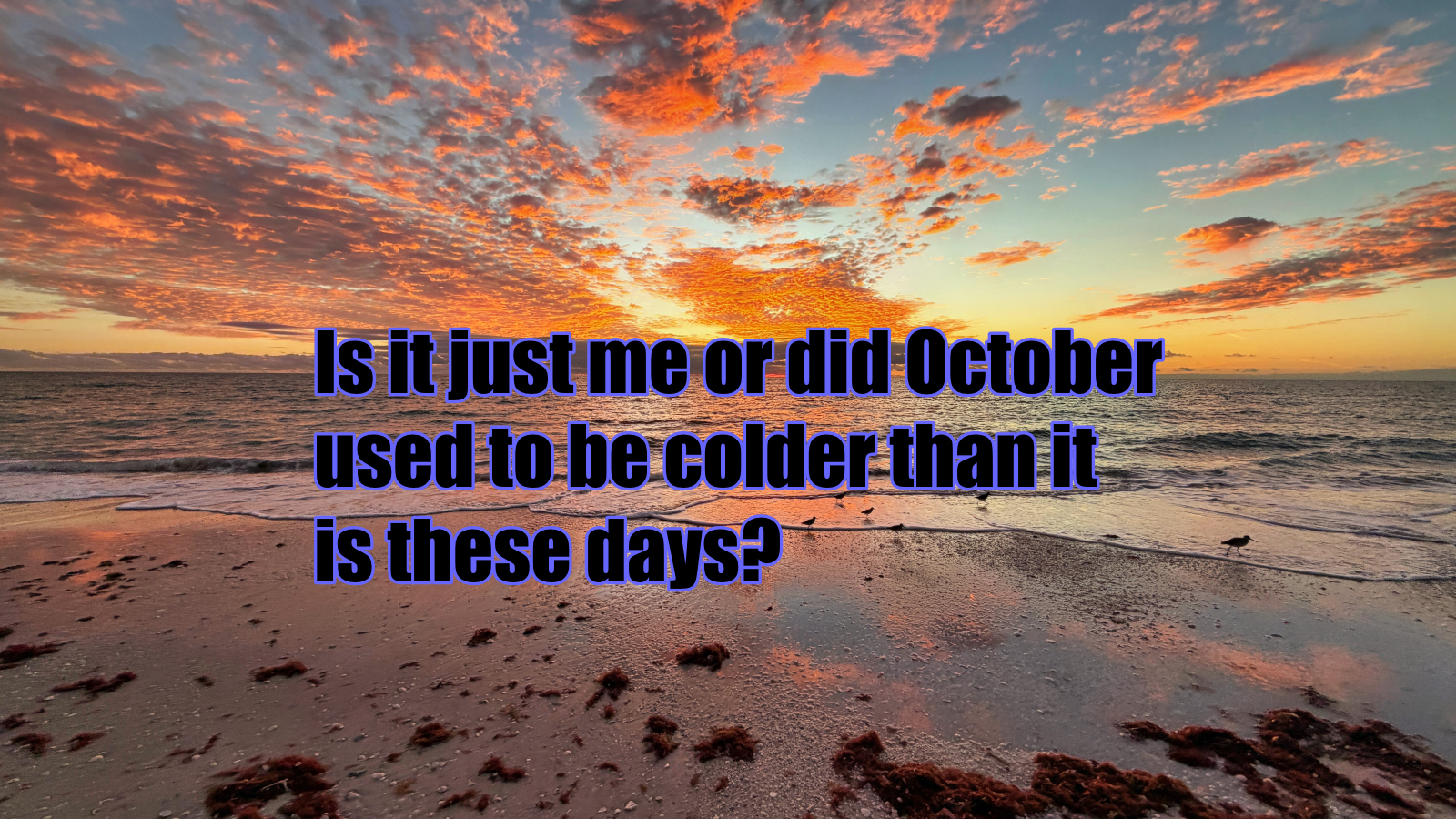 best memes of the week showing a Florida sunset with meme commentary about October weather
