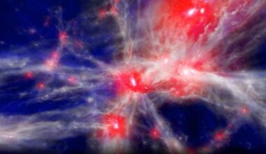 Galaxy Evolution in an EAGLE Simulation