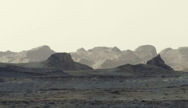 Wind Carved Yardangs on Mars Captured by Curiosity