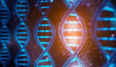 DNA Functions Concept
