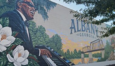 Painting a new picture: New mural brings color, hope to downtown Albany