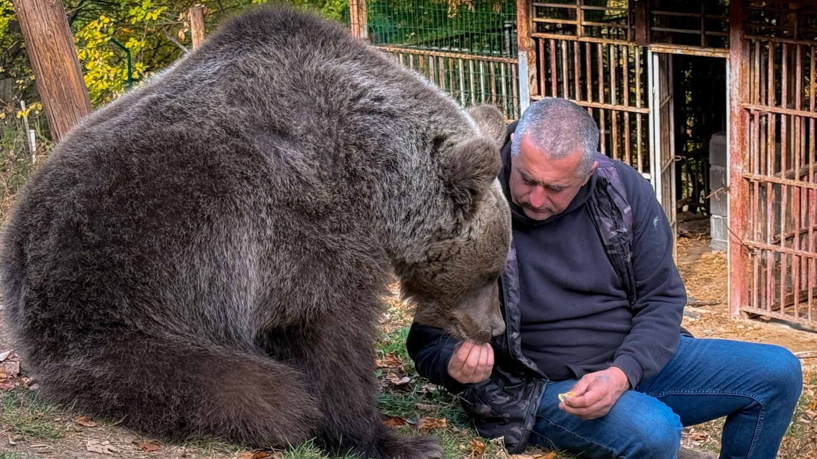 Bosnian man Petar Tubic rescued an abandoned bear cub in Mount Ozren. Now they're inseparable