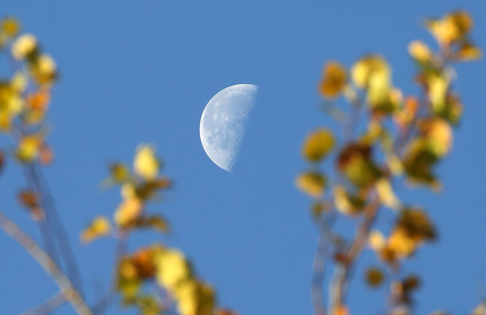 Astro Bob: Busy moon works both day and night - Duluth News Tribune