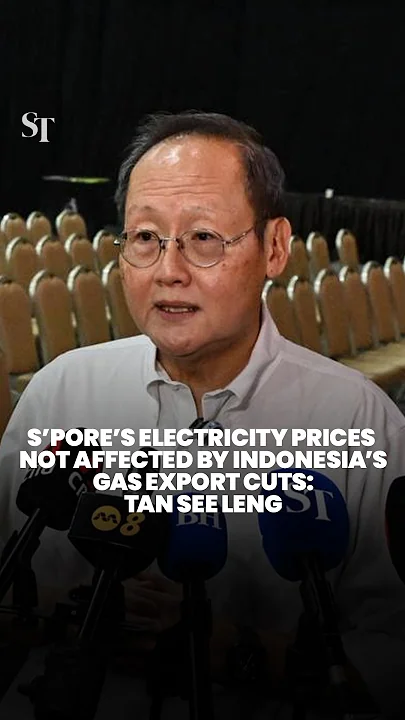 Tan See Leng says Singapore’s electricity prices won’t be affected by Indonesia cutting gas exports - YouTube