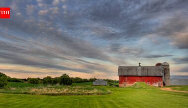 In 1982, a Minnesota farmer wrote a will leaving his 300-acre farm to his son after his wife's lifetime; a different 1989 will later emerged, and a 2026 appeals court reversed the reopening of his estate