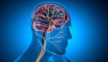 vagus nerve