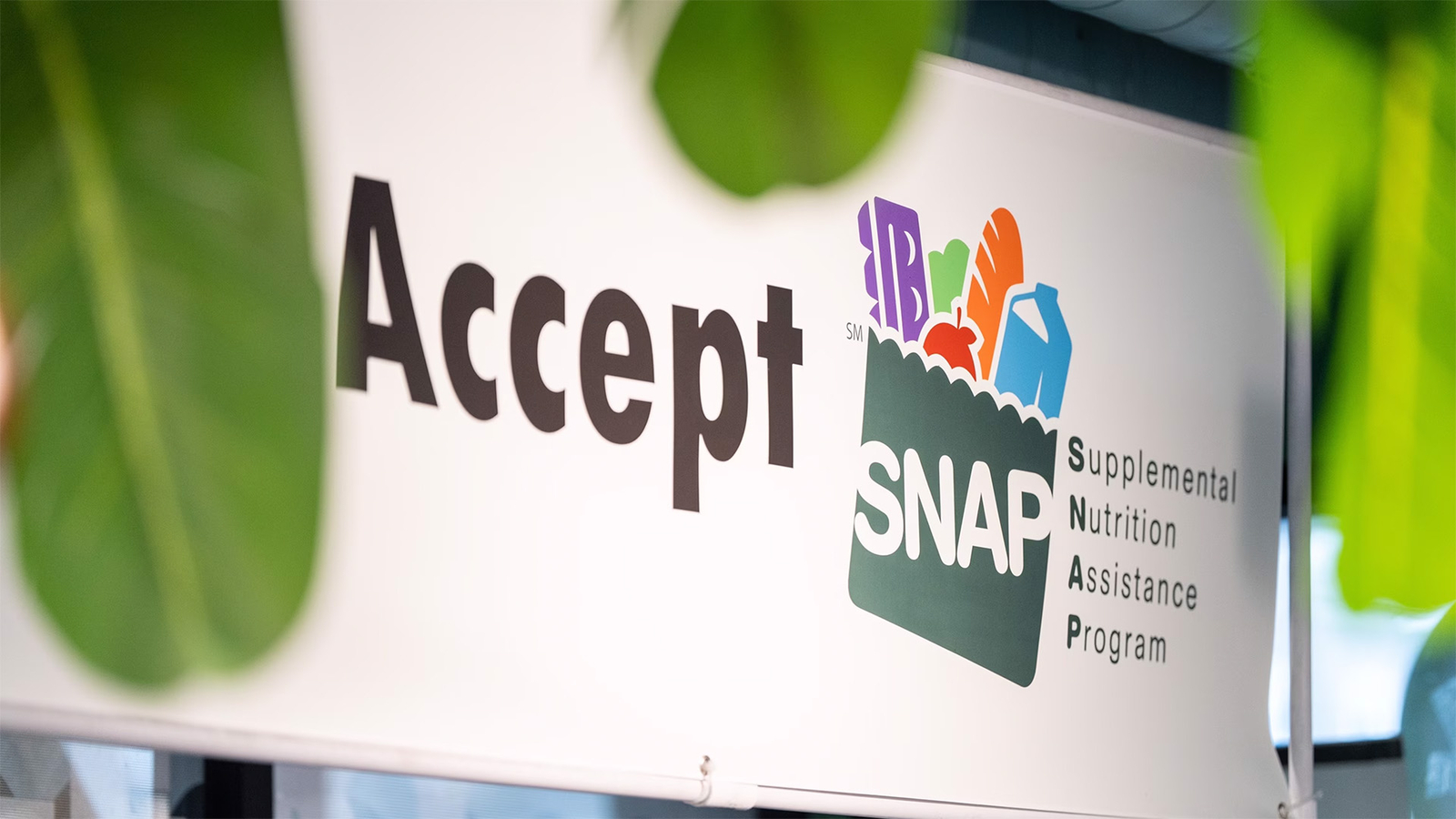 Changes to SNAP benefits begin Oct. 1 for millions of Americans: What to know