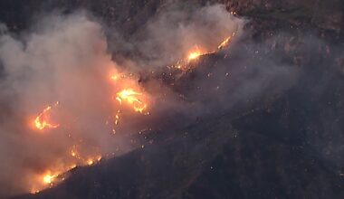 Brush fires erupts amid red flag warnings, strong winds across LA area