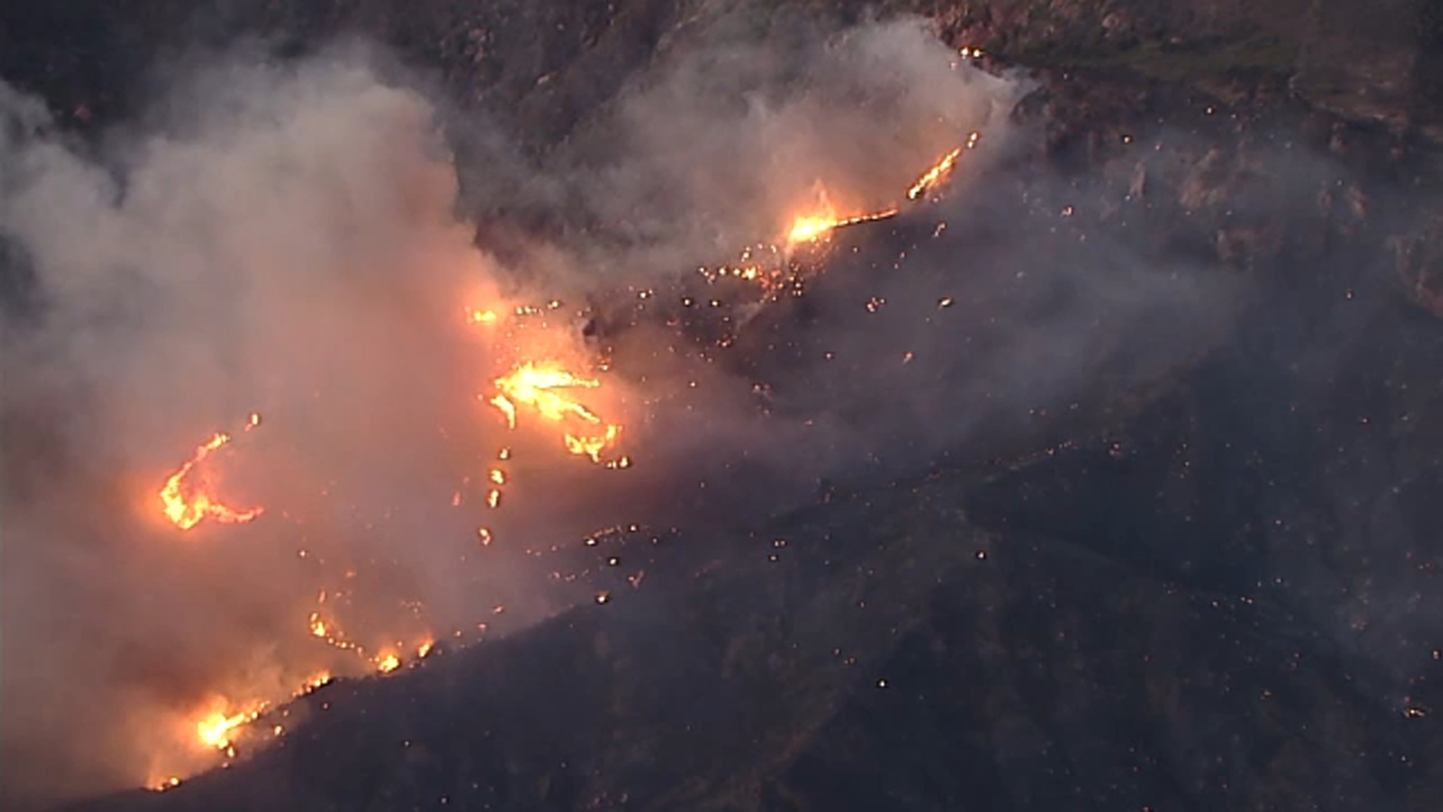 Brush fires erupts amid red flag warnings, strong winds across LA area