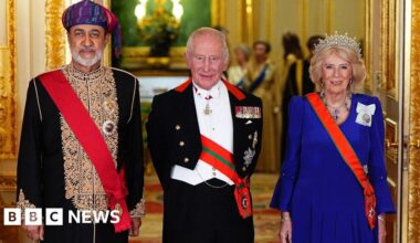 King praises Strait of Hormuz peace efforts at glittering banquet - BBC