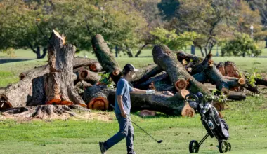 East Potomac tree removal spurred by Trump, judge concludes