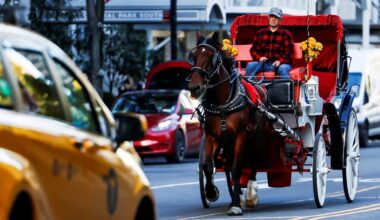 New York City Passes Horse Carriage Ban, Ending a Central Park Tradition