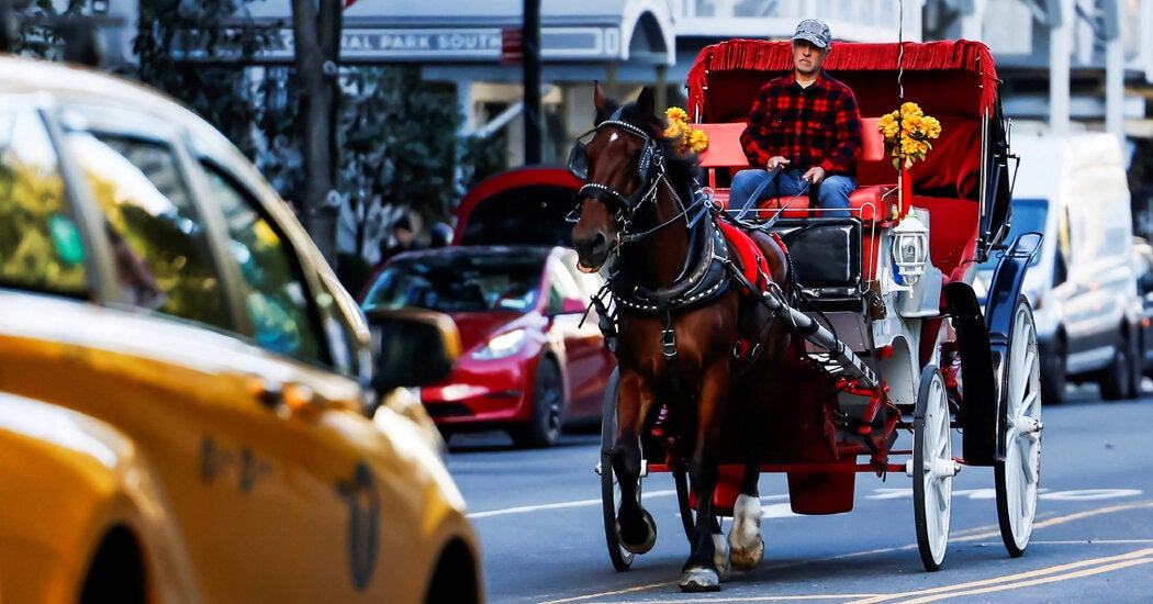 New York City Passes Horse Carriage Ban, Ending a Central Park Tradition