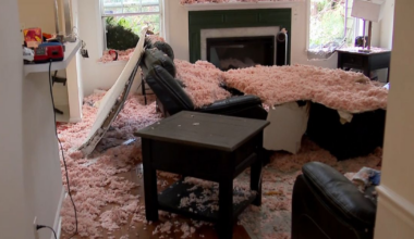 At least 5 tornadoes strike Central NC, uprooting trees and damaging homes in northeast Raleigh :: WRAL.com
