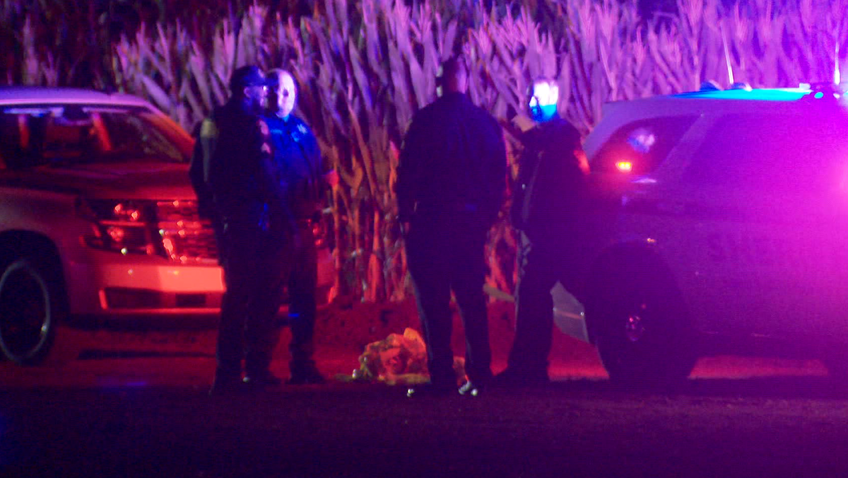 1 in custody, 2 hurt in stabbing at Cool Patch Pumpkins in Dixon